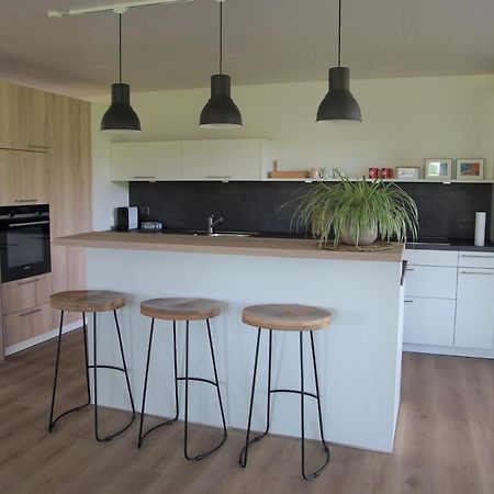 Apartament Buesingen Am Hochrhein Radfahren, Wandern, Natur Geniessen Zewnętrze zdjęcie