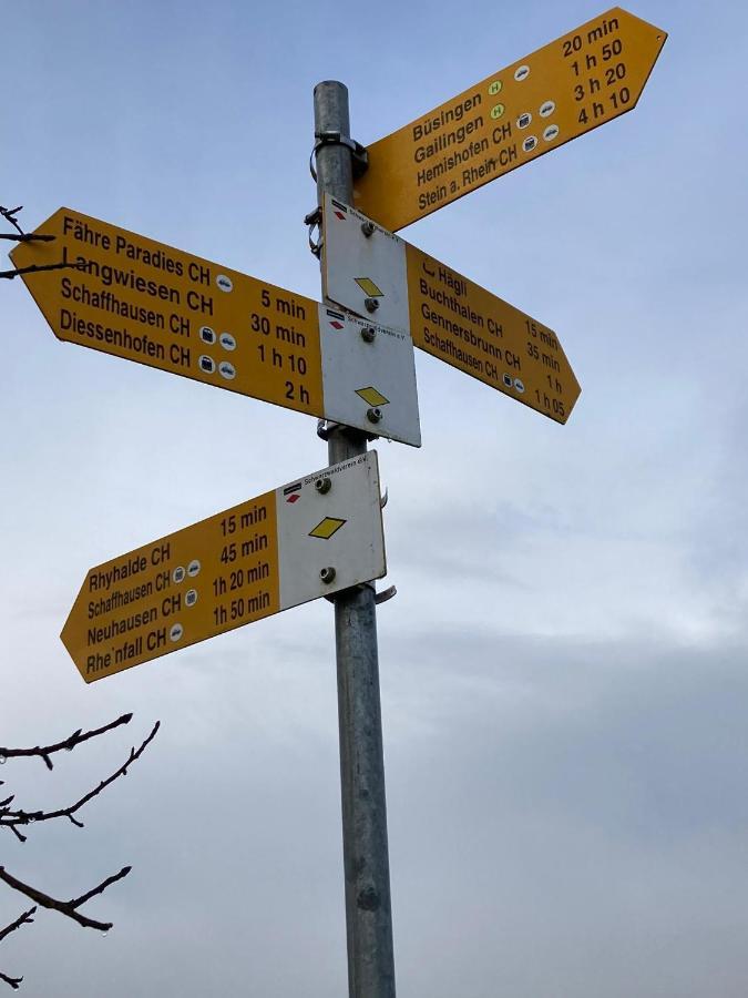 Buesingen Am Hochrhein Radfahren, Wandern, Natur Geniessen Zewnętrze zdjęcie
