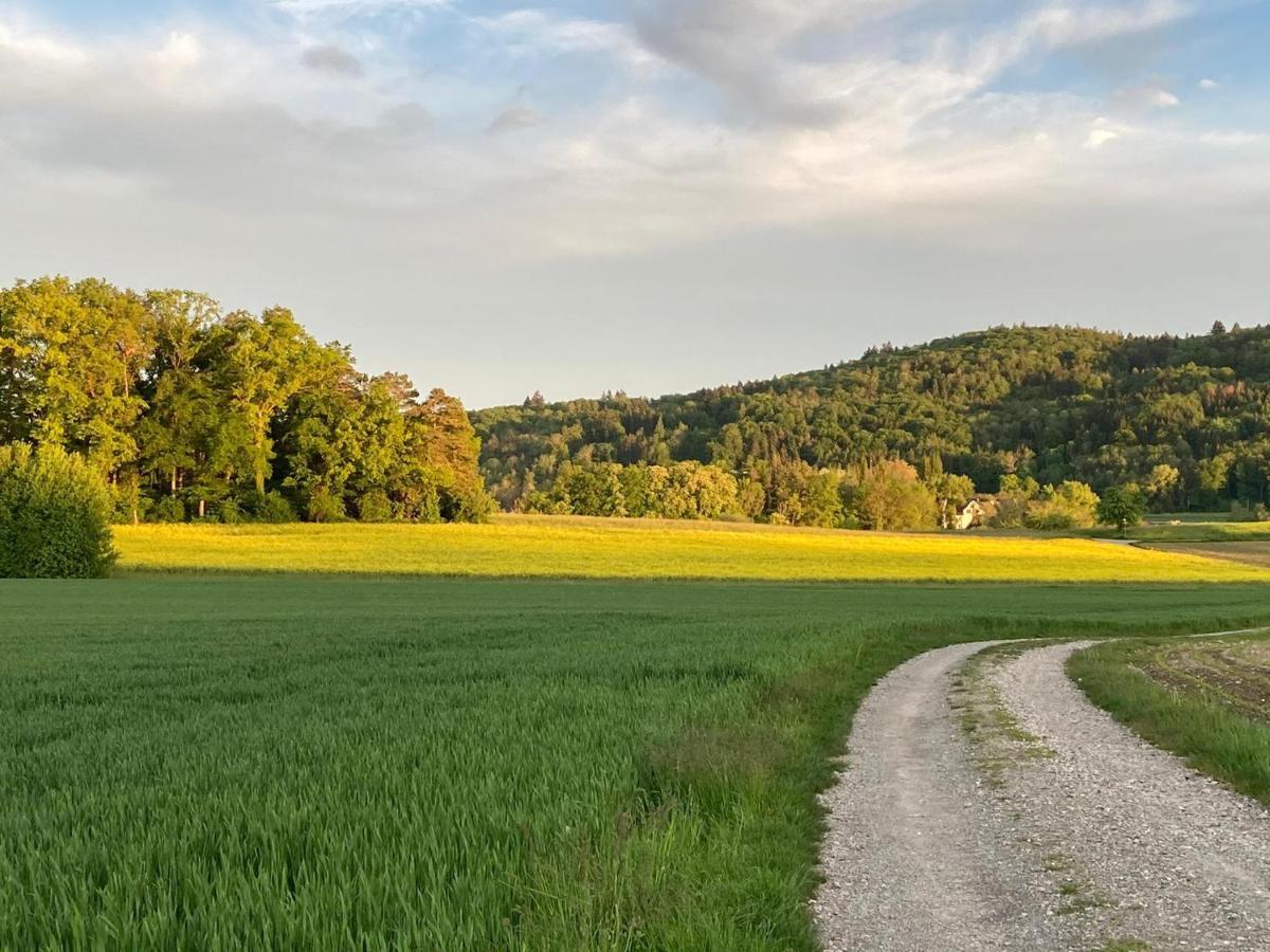 Buesingen Am Hochrhein Radfahren, Wandern, Natur Geniessen Zewnętrze zdjęcie