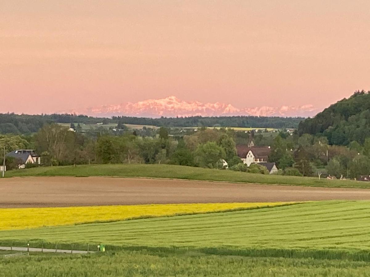 Buesingen Am Hochrhein Radfahren, Wandern, Natur Geniessen Zewnętrze zdjęcie