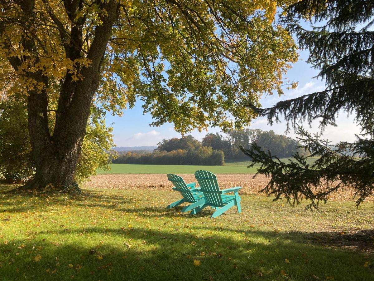 Apartament Buesingen Am Hochrhein Radfahren, Wandern, Natur Geniessen Zewnętrze zdjęcie